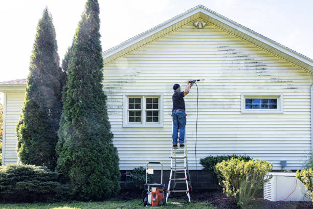 Animal Enclosure Cleaning in Brewerton, NY